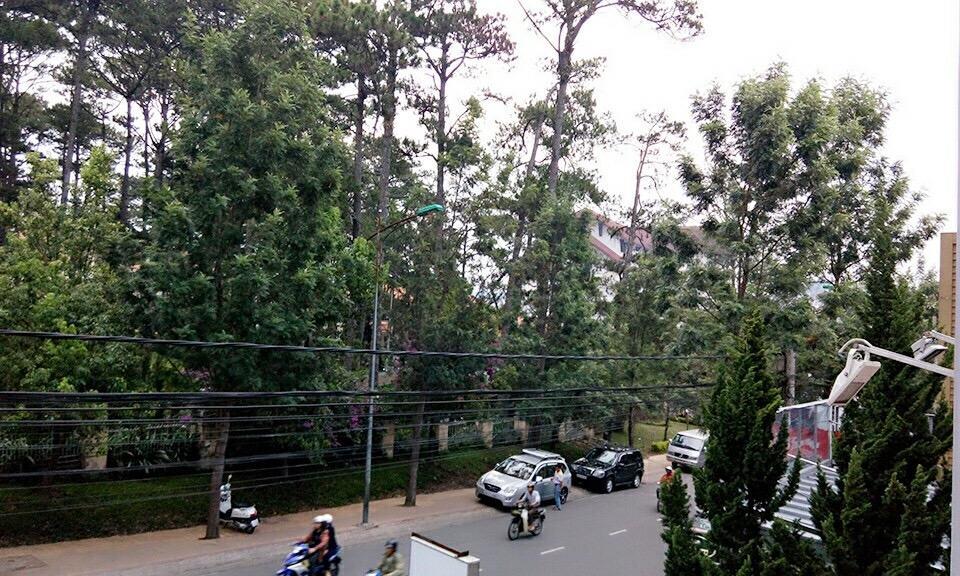 Trang Thanh 2 Guest House ดาลัด ภายนอก รูปภาพ